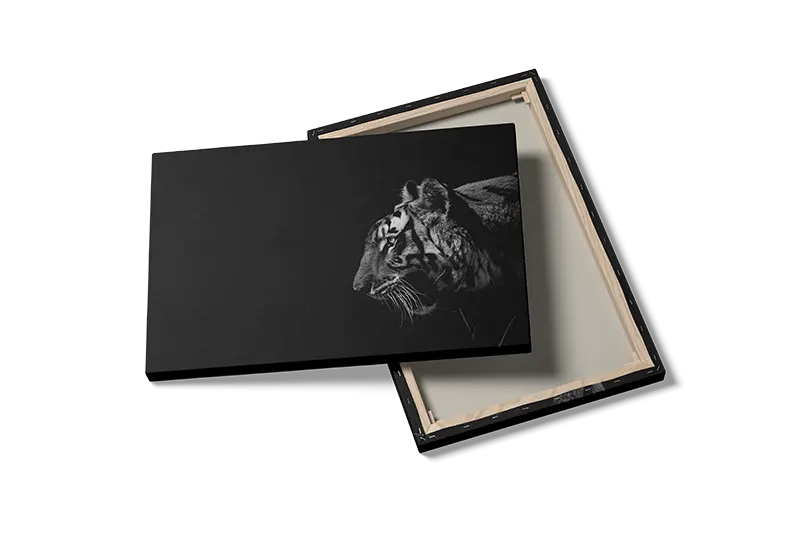 Tiger Side Profile Plakat