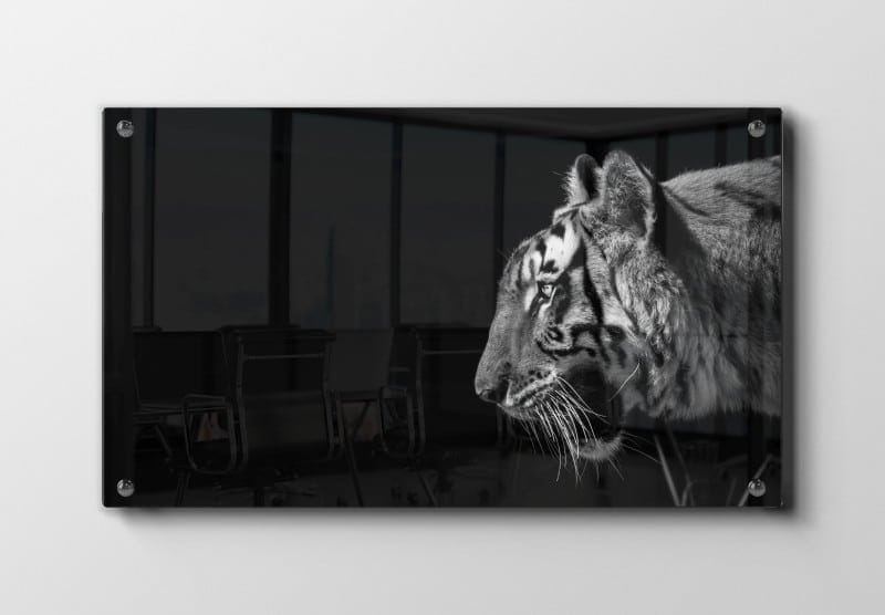 Tiger Side Profile Plakat