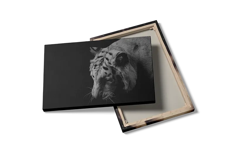 White Tiger Plakat