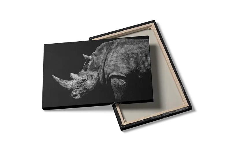 White Rhinoceros Plakat