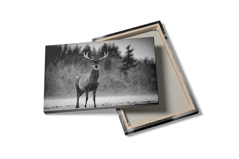 Red Deer Plakat