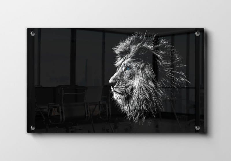Lion Blue Eyes Plakat