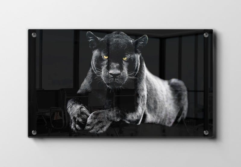Black Panther Plakat