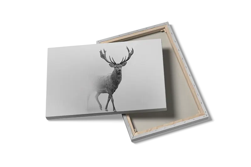 Deer In Mist Plakat