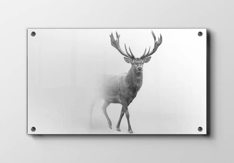 Deer In Mist Plakat