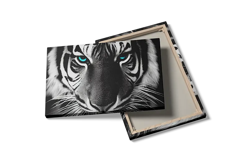 White Tiger Close Up Plakat