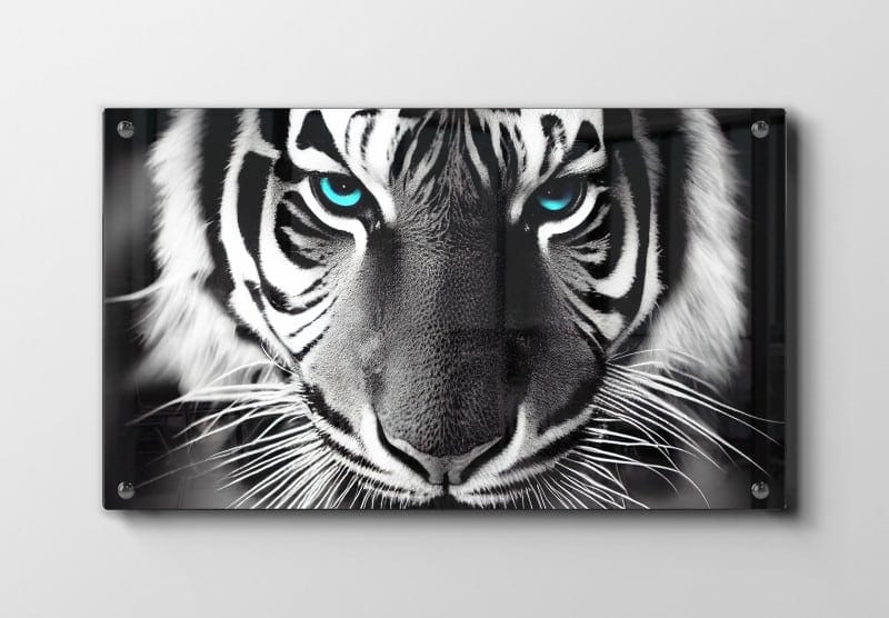 White Tiger Close Up Plakat