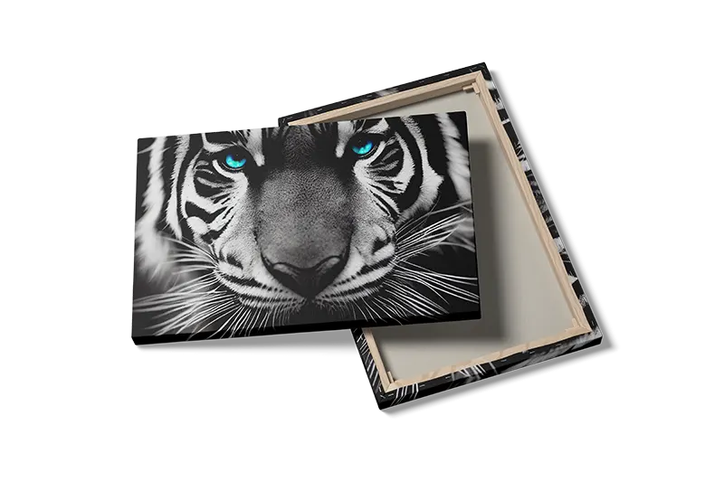 Tiger Blue Eyes Plakat