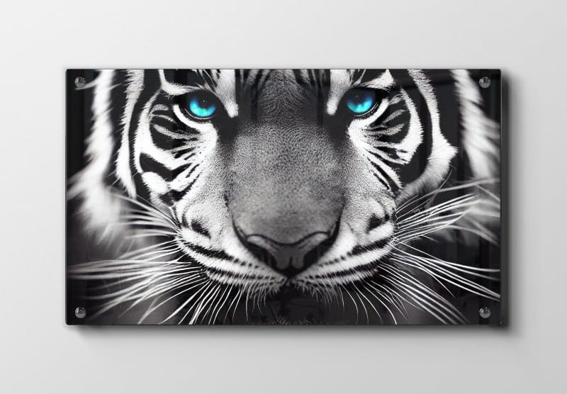 Tiger Blue Eyes Plakat