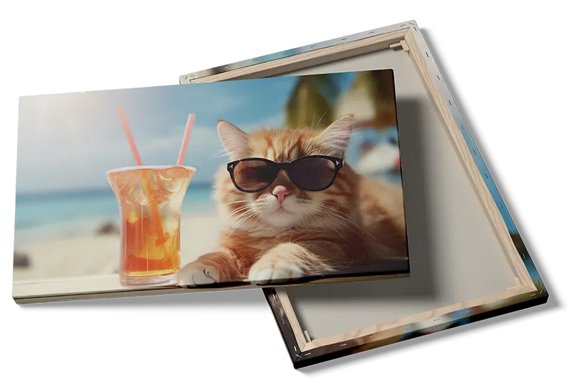 Afslappende Kat Plakat