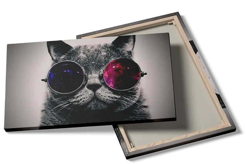 Curious Cat In Cosmic Glasses Plakat