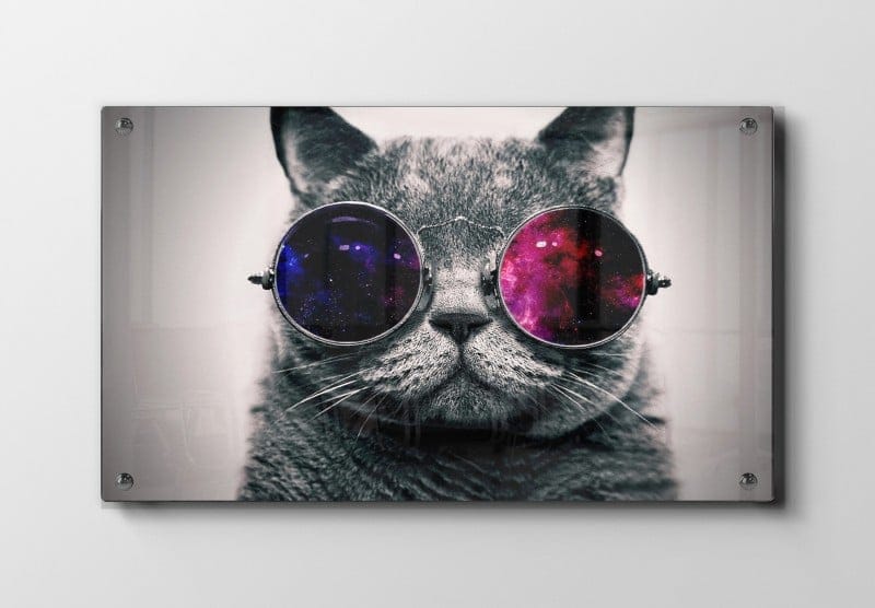 Curious Cat In Cosmic Glasses Plakat