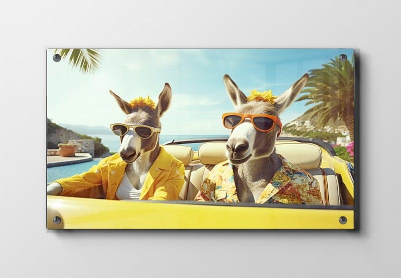 Playful Donkey Roadtrip Plakat