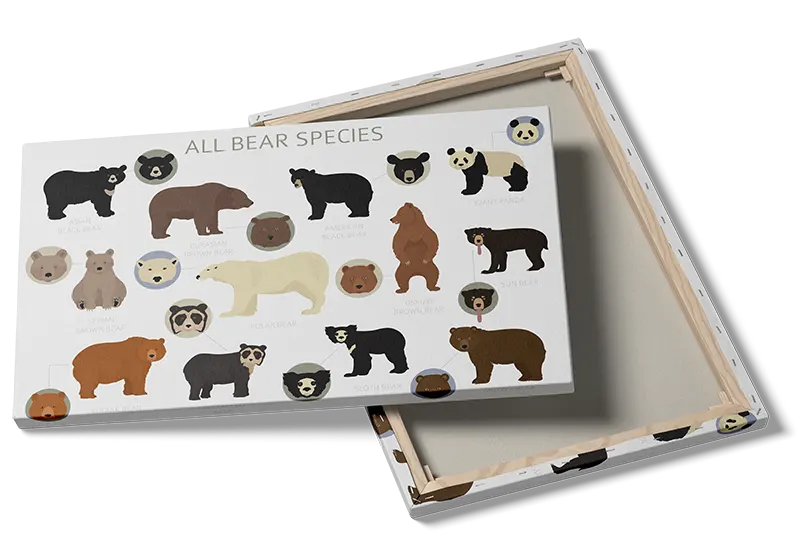 Curious Bear Species Guide Plakat