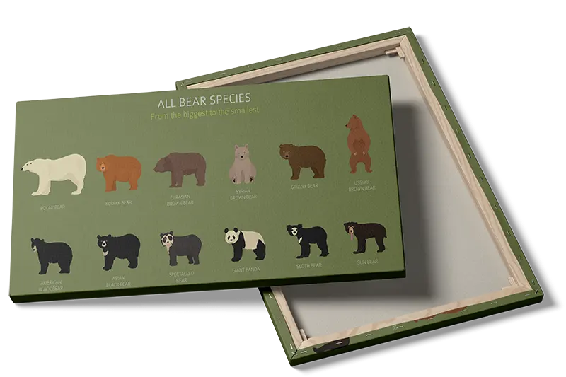 All Bear Species Guide Plakat