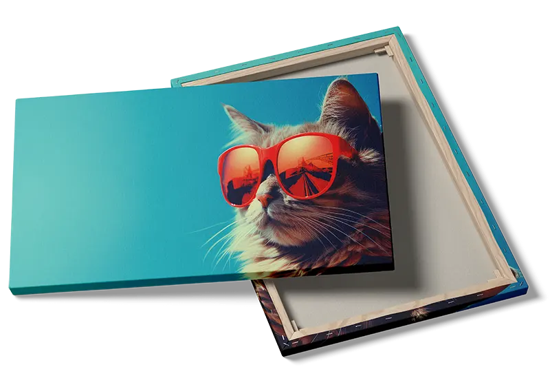 Cool Cat With Sunglasses Plakat