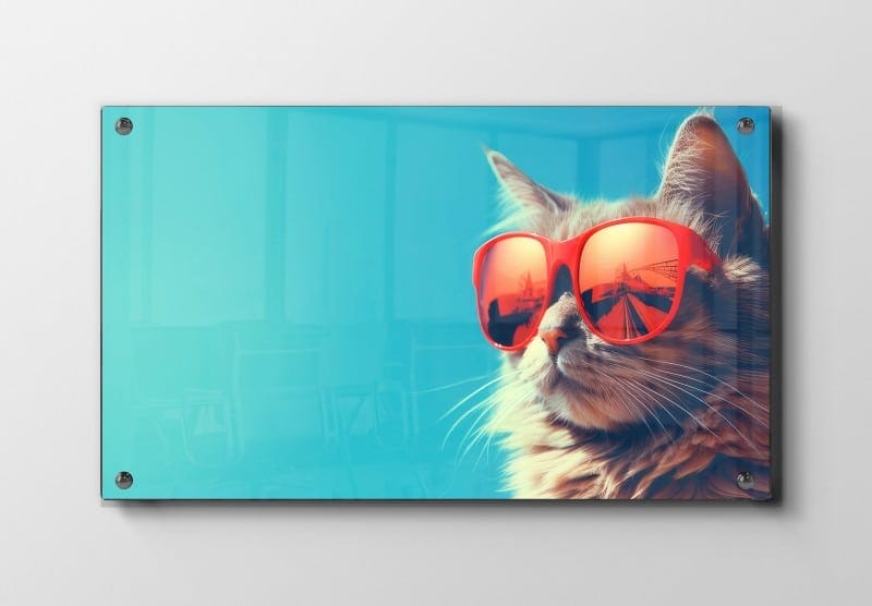 Cool Cat With Sunglasses Plakat