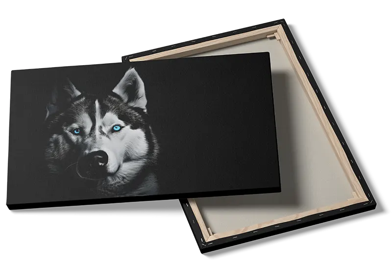 Mystic Husky Portrait Plakat