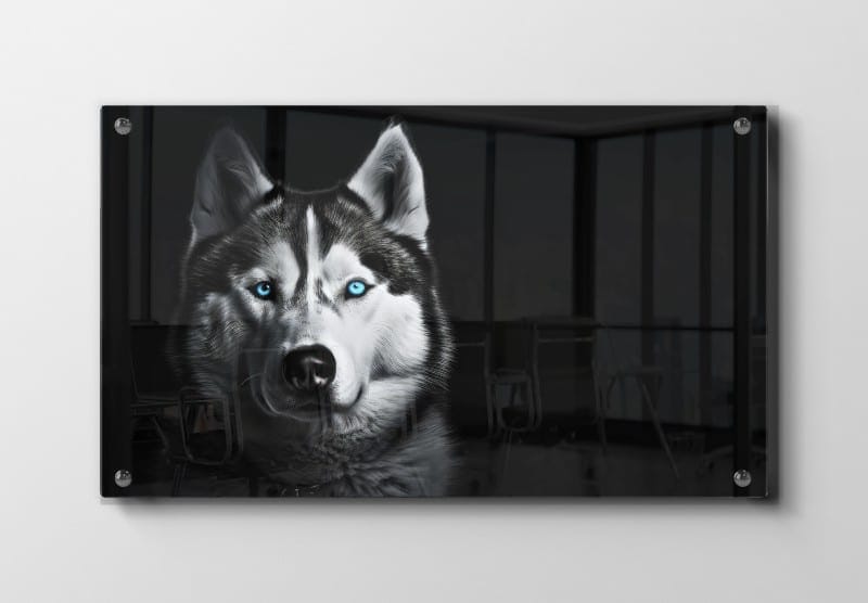 Mystic Husky Portrait Plakat