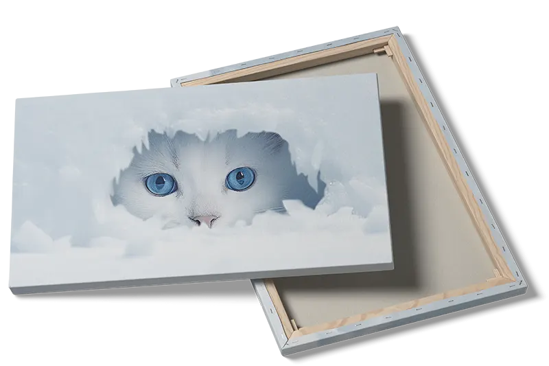 Curious Snow Kitten Peek Plakat