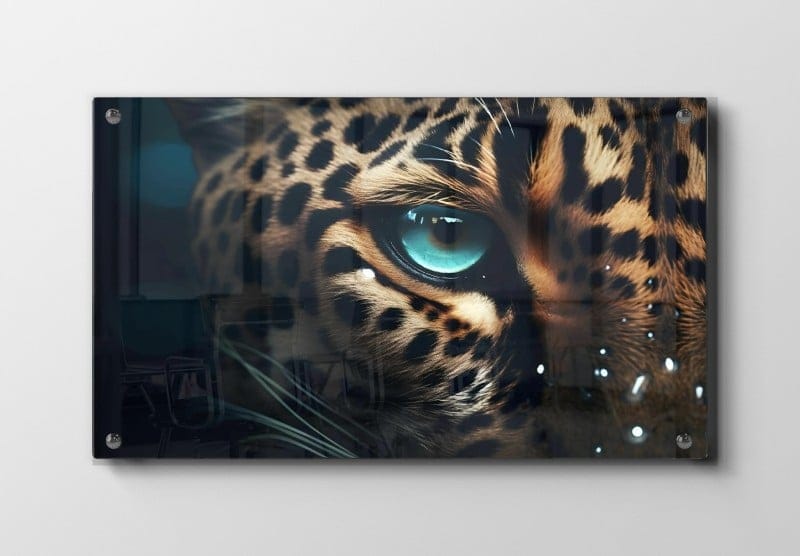 Curious Leopard Eye Plakat