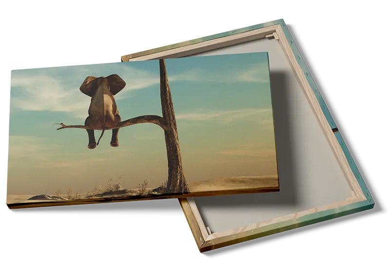 Playful Elephant Adventure Animals Plakat