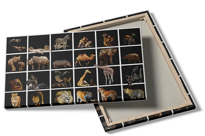 Playful Safari Animal Friends Animals Plakat