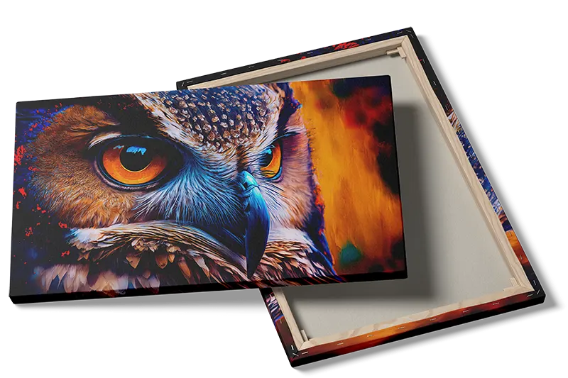 Curious Owl Closeup Plakat
