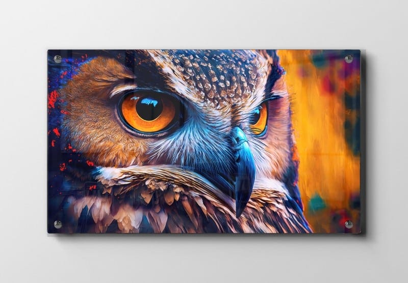 Curious Owl Closeup Plakat