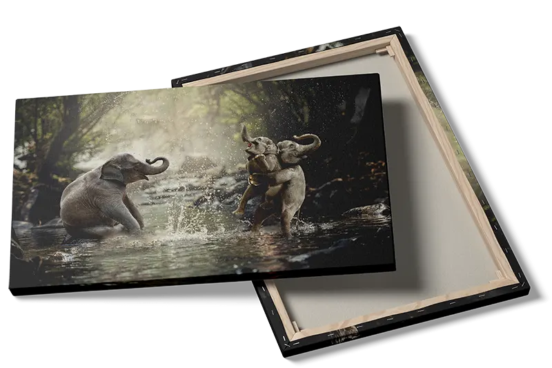 Playful Baby Elephants Splash Plakat