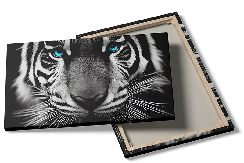 Curious Tiger With Blue Eyes Plakat