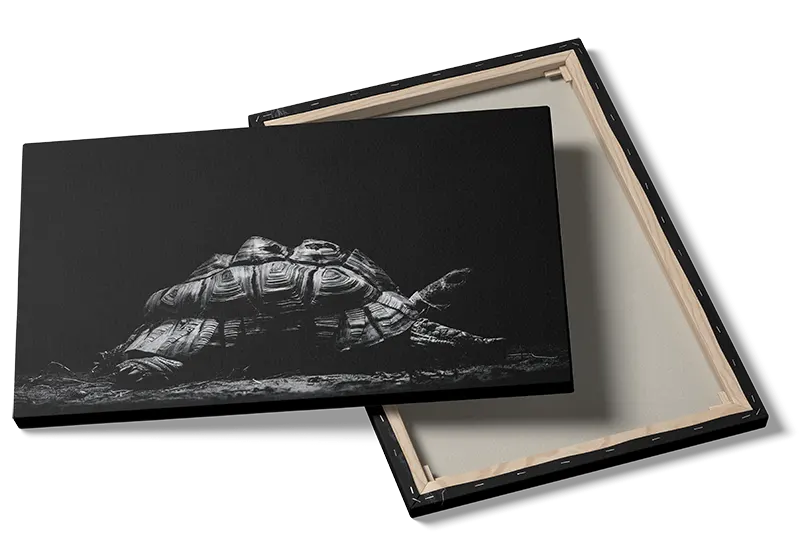 Curious Tortoise Adventure Plakat