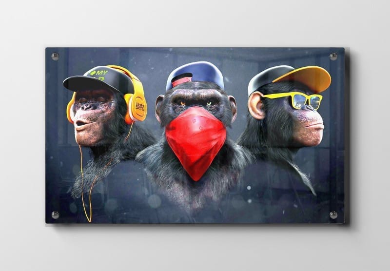 Cool Urban Monkey Crew Plakat