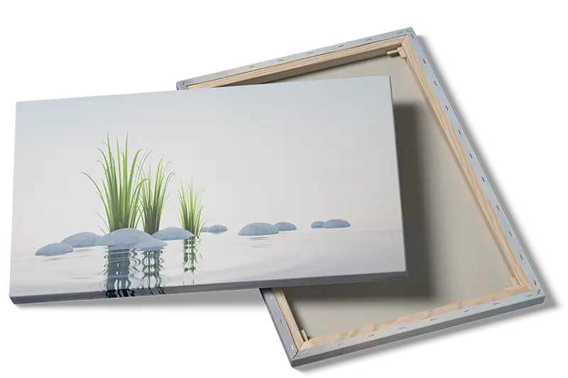 Græs vand sten med refleksion ringe