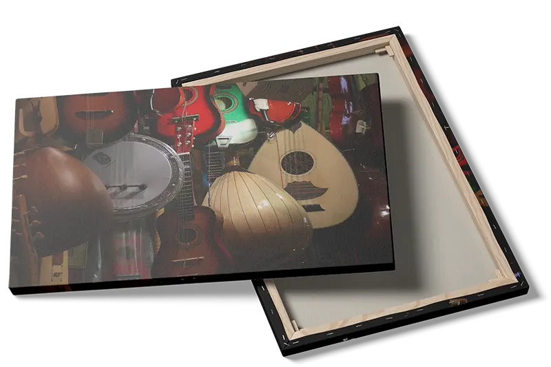 Collection Of Traditional String Instruments
