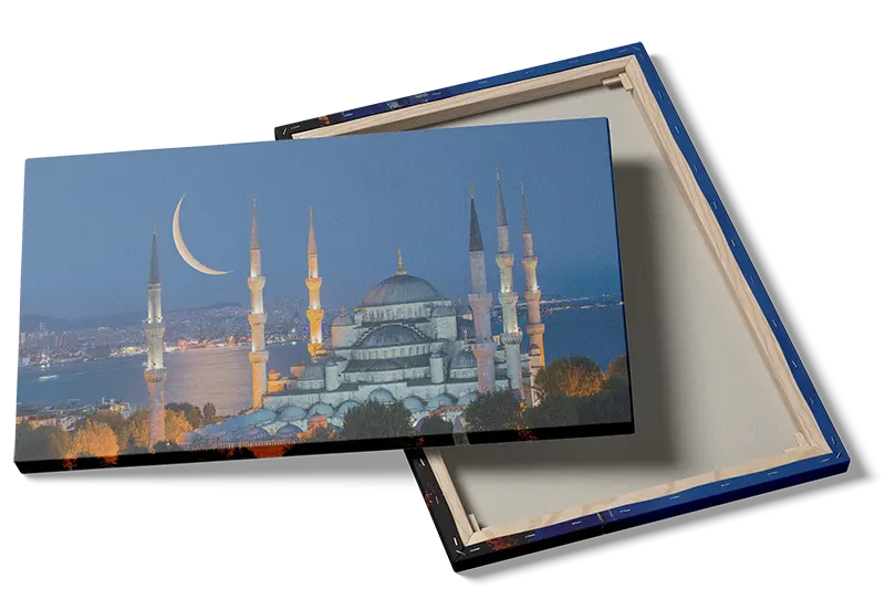 Istanbul Nighttime Mosque View