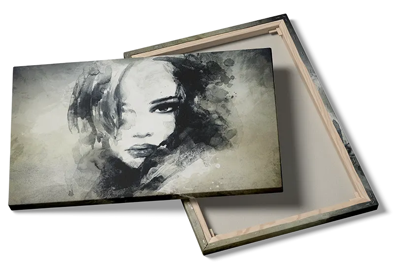 Veiled Expression Plakat