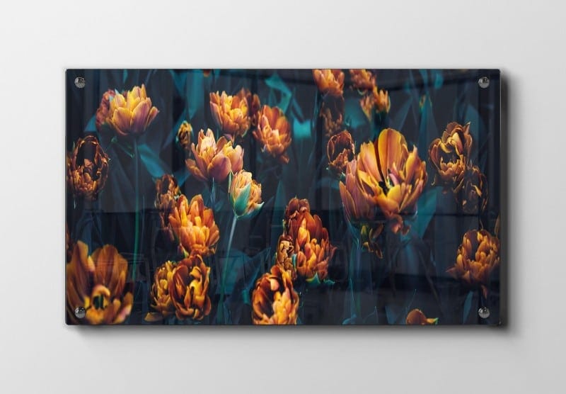 Amber Bloom Cluster Plakat