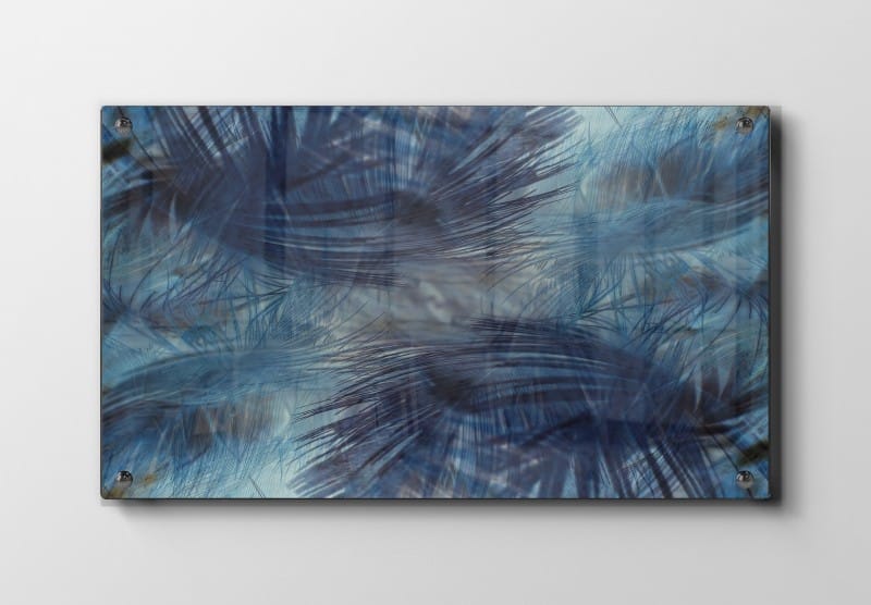 Whispering Blue Feathers Plakat