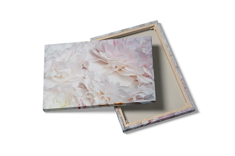 Delicate Petal Layers Plakat