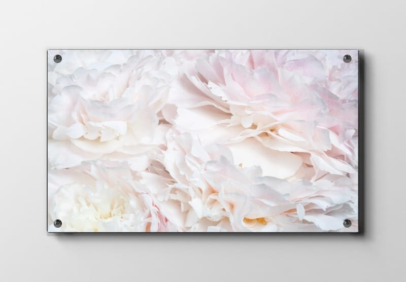 Delicate Petal Layers Plakat