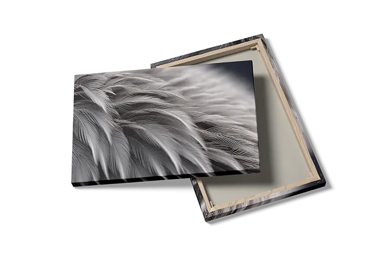 Feather Veins Texture Plakat