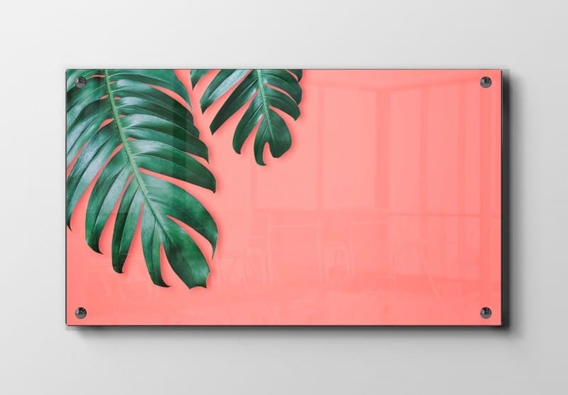 Monstera Blade På Koralfarve Plakat