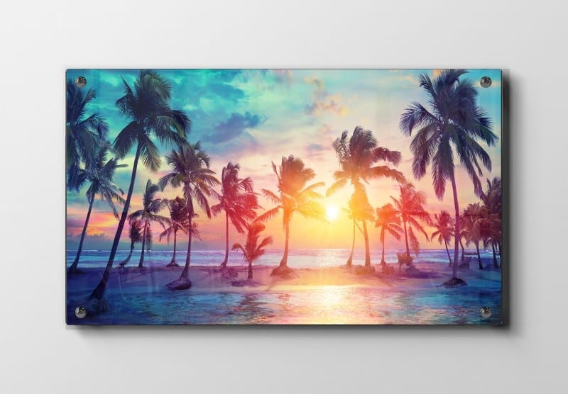Palmer Ved Solnedgang Plakat
