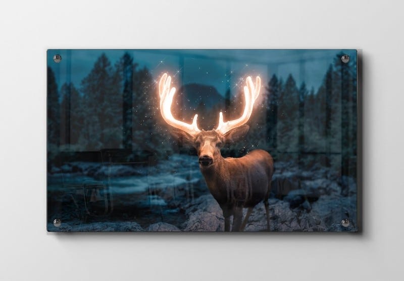 Rådyr med Lysende Gevir Plakat