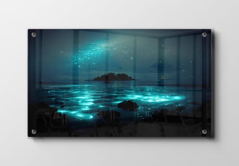 Bioluminescerende Kystlys Plakat