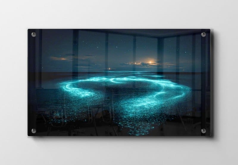 Bioluminescerende Havlysning Plakat