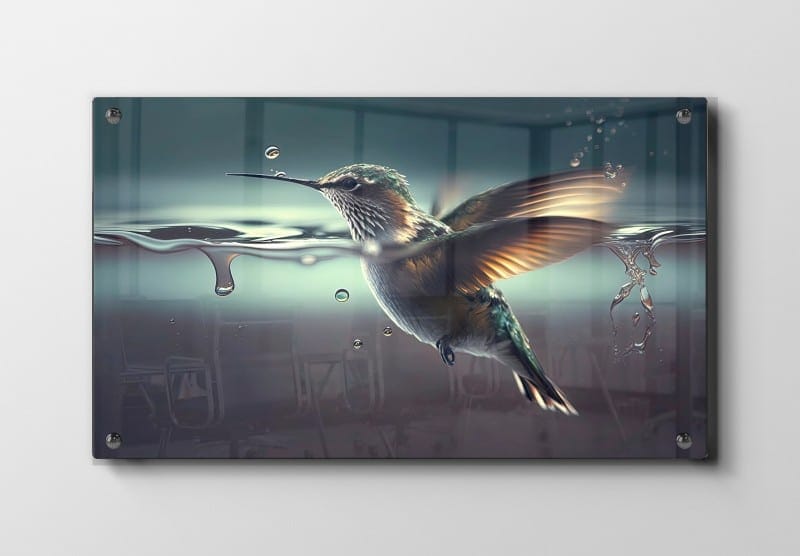 Kolibri Under Vandet Plakat