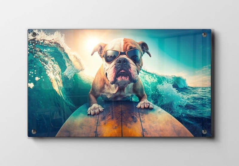 Cool Bulldog på Surfbræt Plakat