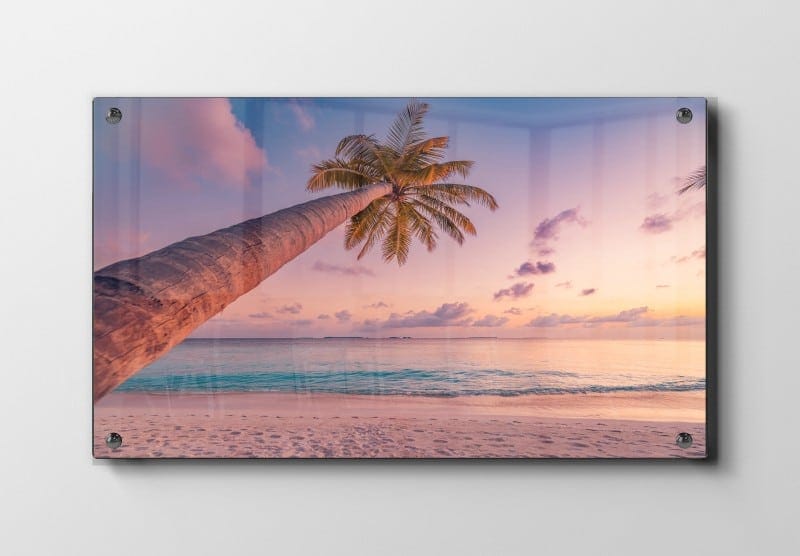 Palme ved Solnedgang Plakat